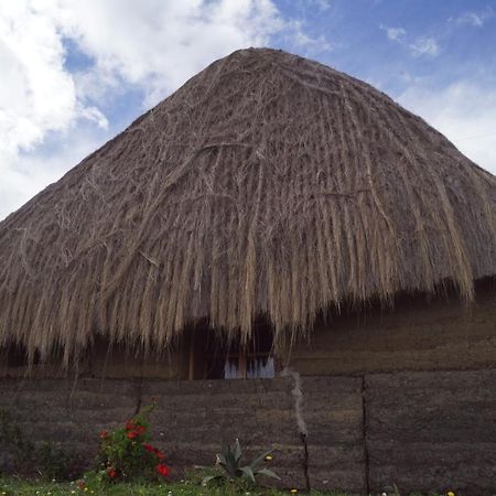 Turismo Comunitario La Esperanza Villa Hacienda Colta Luaran gambar